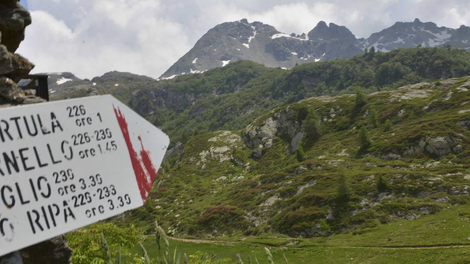 Scuole, dopo due anni tornano le gite. Ma a km zero e c’è chi va in rifugio Scuole, dopo due anni tornano le gite. Ma a km zero e c’è chi va in rifugio
