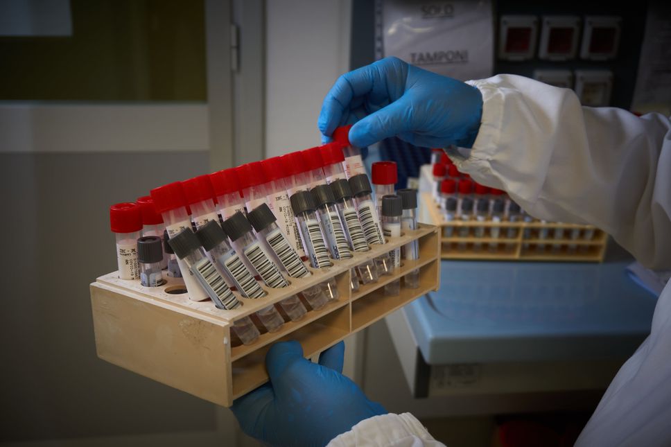 Provette con i risultati dei tamponi