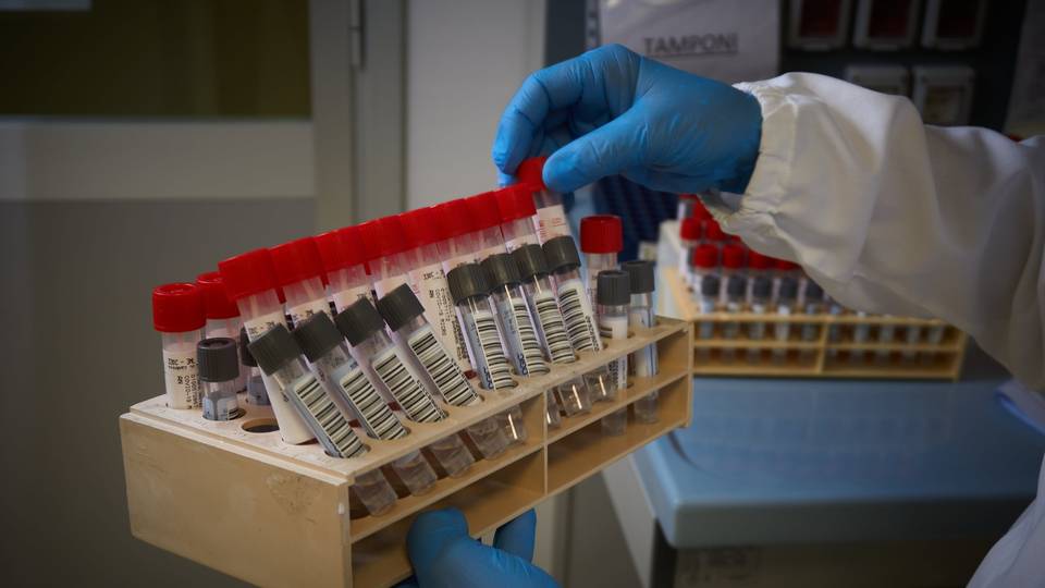 L’epidemiologo: «La variante Xe più contagiosa, ma niente ondata» L’epidemiologo: «La variante Xe più contagiosa, ma niente ondata»
