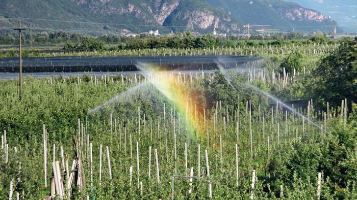 Siccità, il Consorzio di Bonifica: «Situazione drammatica, possibili razionamenti per l’irrigazione» Siccità, il Consorzio di Bonifica: «Situazione drammatica, possibili razionamenti per l’irrigazione»