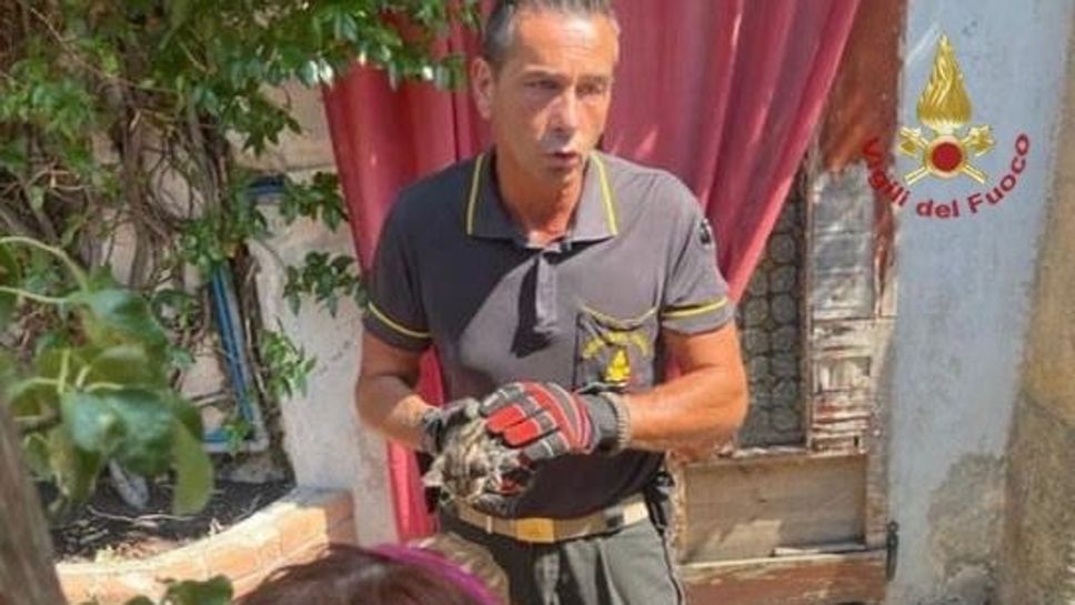 Un Vigile del fuoco con il piccolo Wurstel appena salvato dal tubo Un Vigile del fuoco con il piccolo Wurstel appena salvato dal tubo