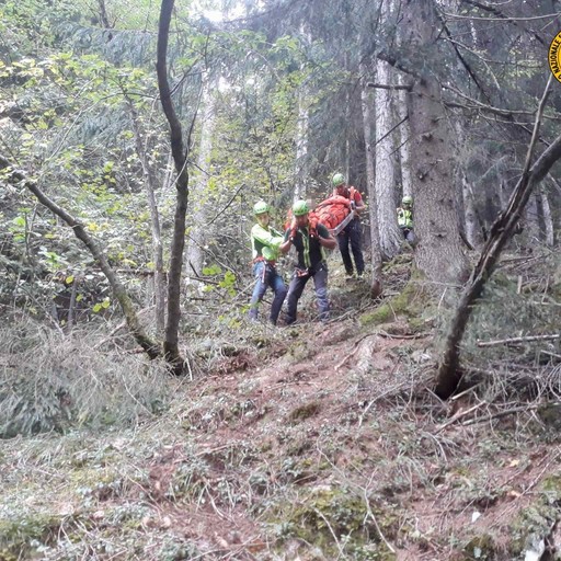 Scivola nel bosco e si ferisce a un ginocchio: fungaiolo recuperato dal ...