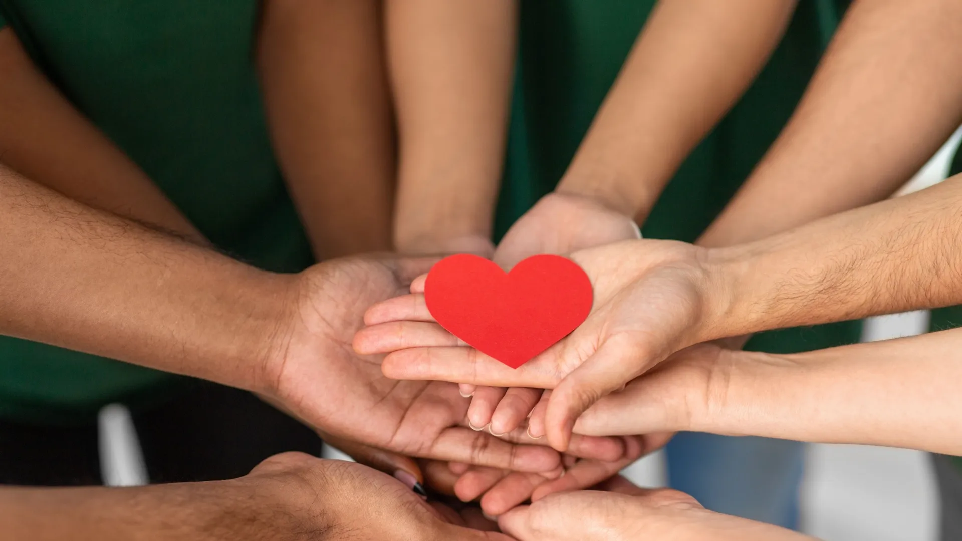 Terra del Volontariato, un riconoscimento per la solidarietà