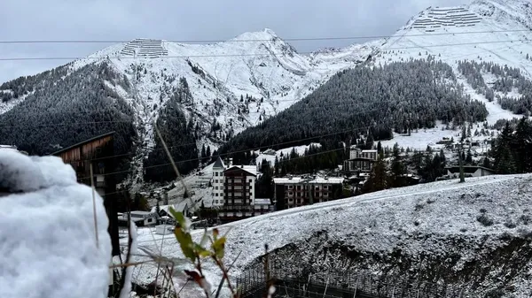 Immagine per 3908fe3e-7841-11ee-b861-7afa1bb87b1a