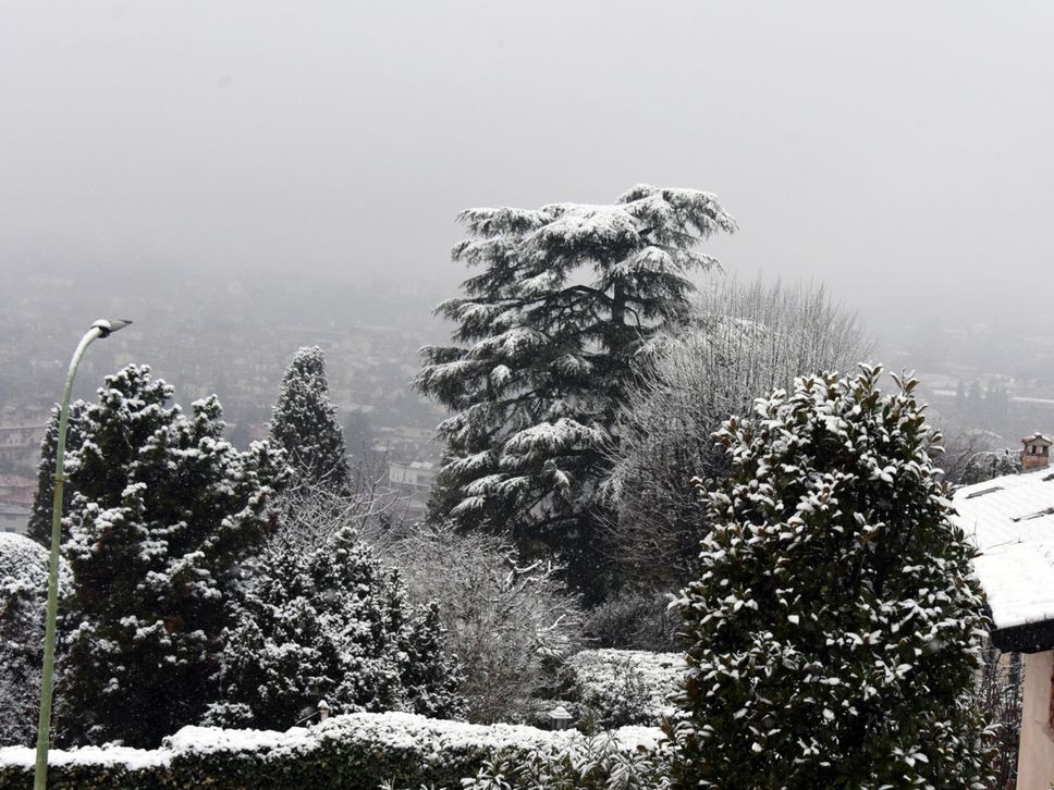 Neve in Maresana