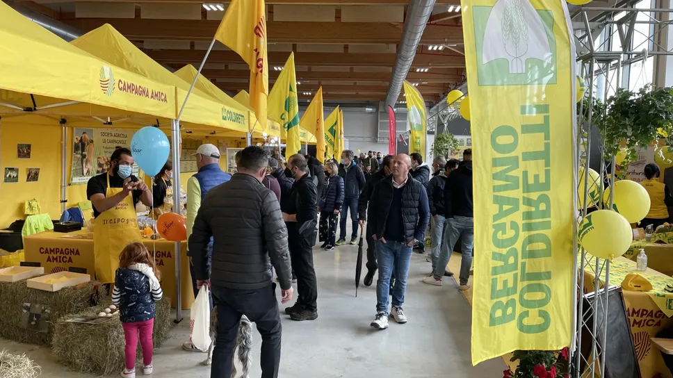 Immagine per ce33d068-e43c-11ed-8816-550d4ee131d4