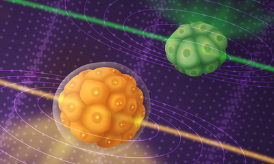 Microscope allows observation of embryo development in real time - Scienza e Tecnologia - Vimarsana News