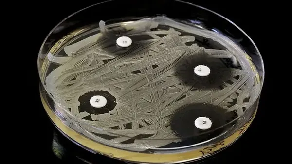 Immagine per b27450d4-fdf3-11ed-b8d1-6fa53490fdfd