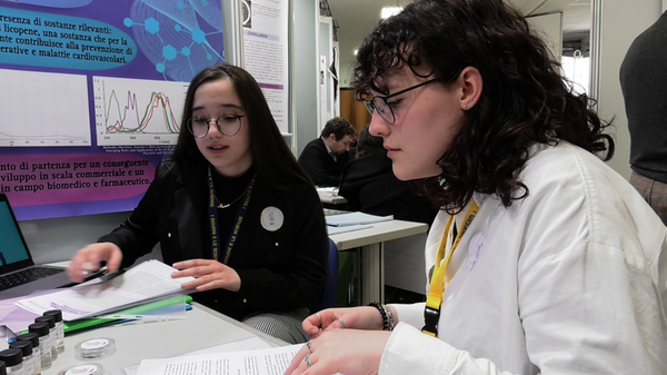 Immagine per 01b9539a-fbd5-11ed-b2f8-3a1329a6bb2b