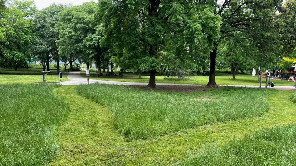 Lo sfalcio differenziato è stato sperimentato anche nel parco Cittadini a Loreto Lo sfalcio differenziato è stato sperimentato anche nel parco Cittadini a Loreto