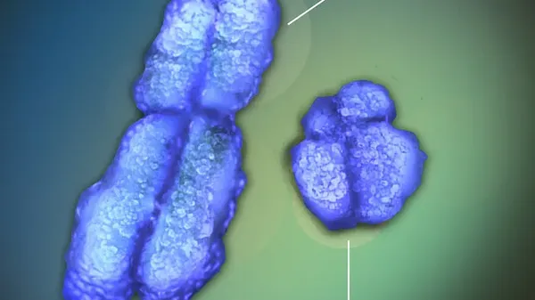 Immagine per cae99f2a-1199-11ee-8cea-2875b792608c