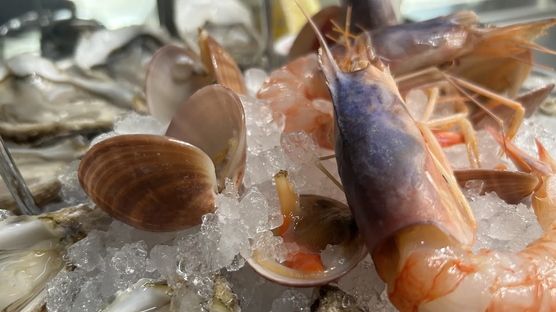 ISO 9001: AMT Ottiene La Certificazione 9001, Garanzia Di Qualità | AMT - Foto 5