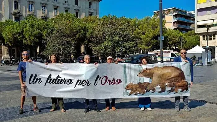 Ursa Amarena, manifestação de amanhã em Picena