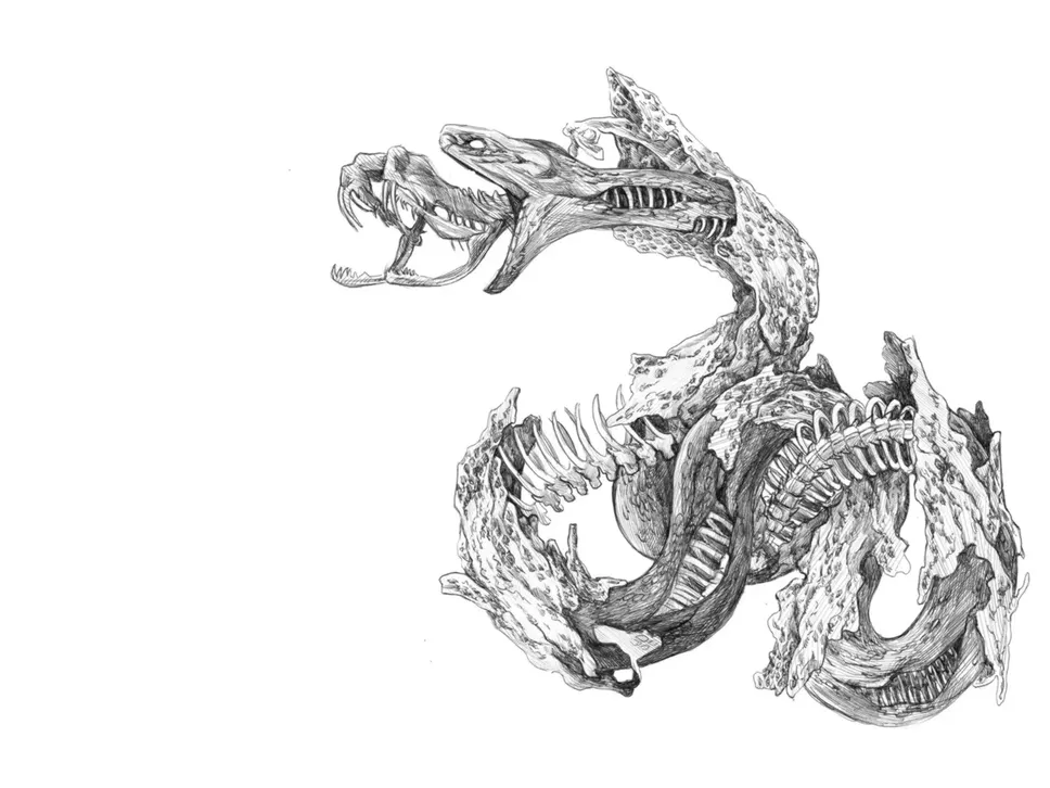 Alcuni disegni di Laura Fuzzi