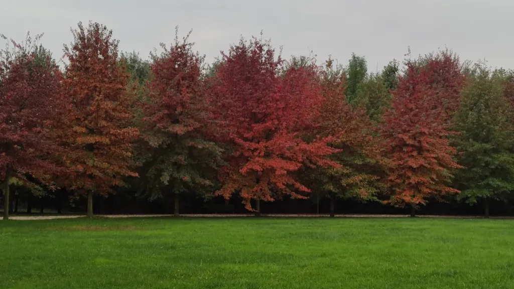 Autunno al Parco della Trucca, a Bergamo