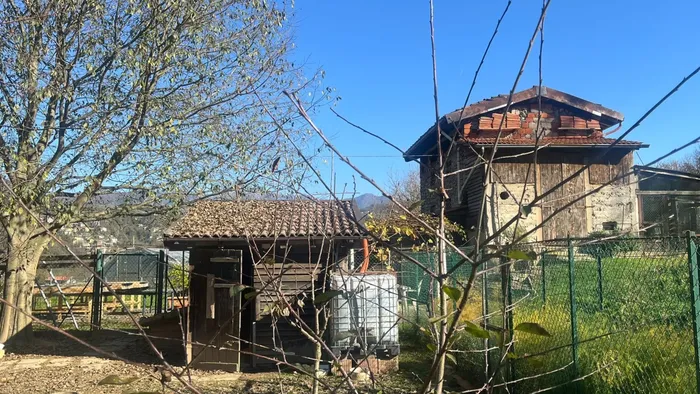 Cade da una scala a pioli: grave uomo
