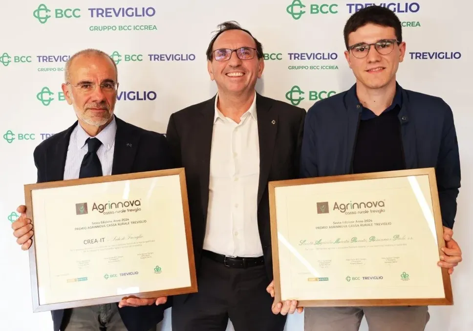 Immagine per dfa9a61a-0623-11ef-a9c5-359e2402f13d
