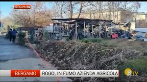 BERGAMO TG ORE12