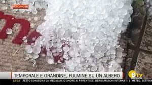 BERGAMO TG ORE12