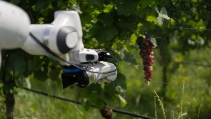 Nei vigneti arriva Frasky, il robot per l