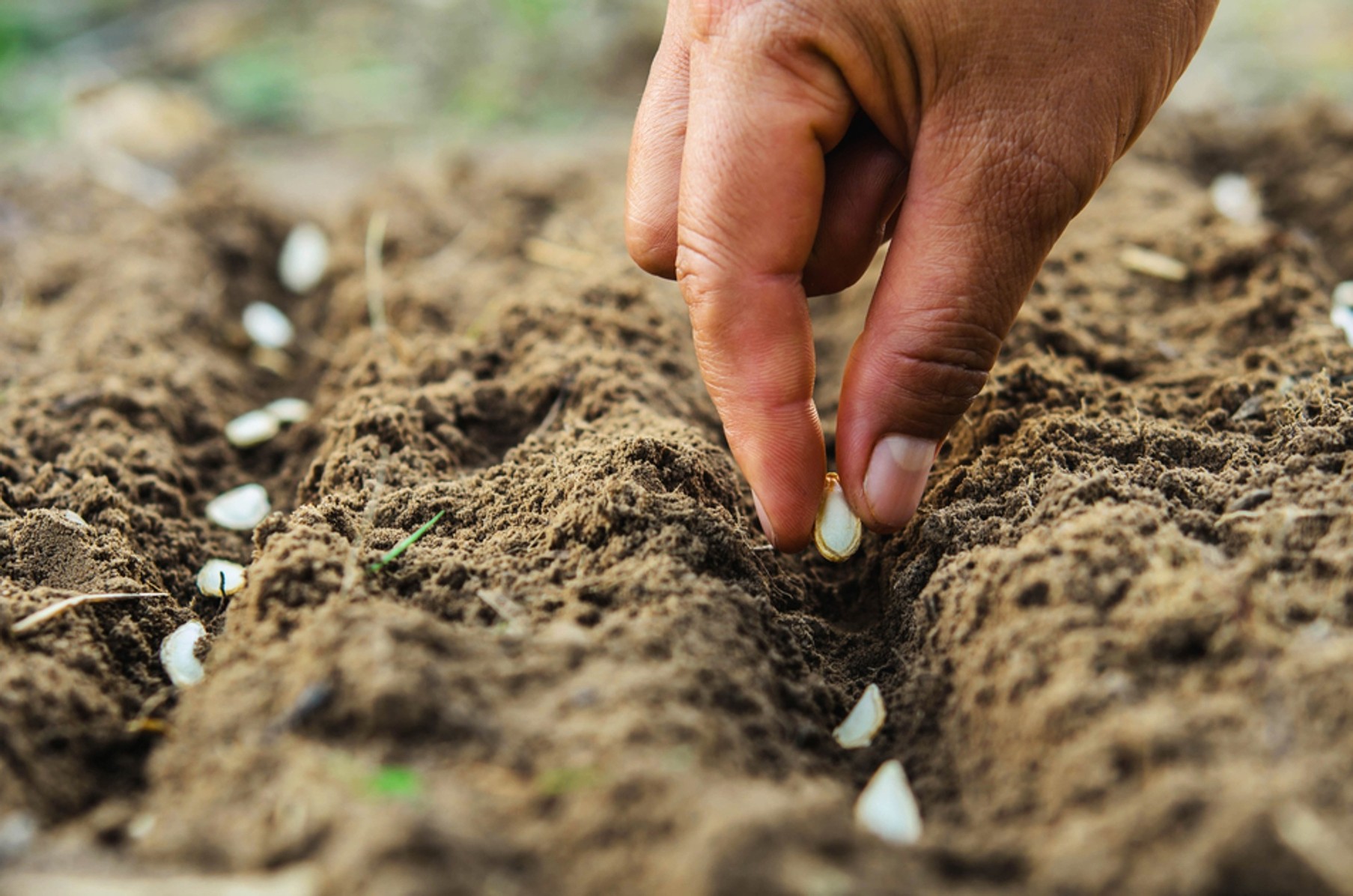 Immagine per 7fe82e76-a5e2-11f0-ab25-27d30ab876f4