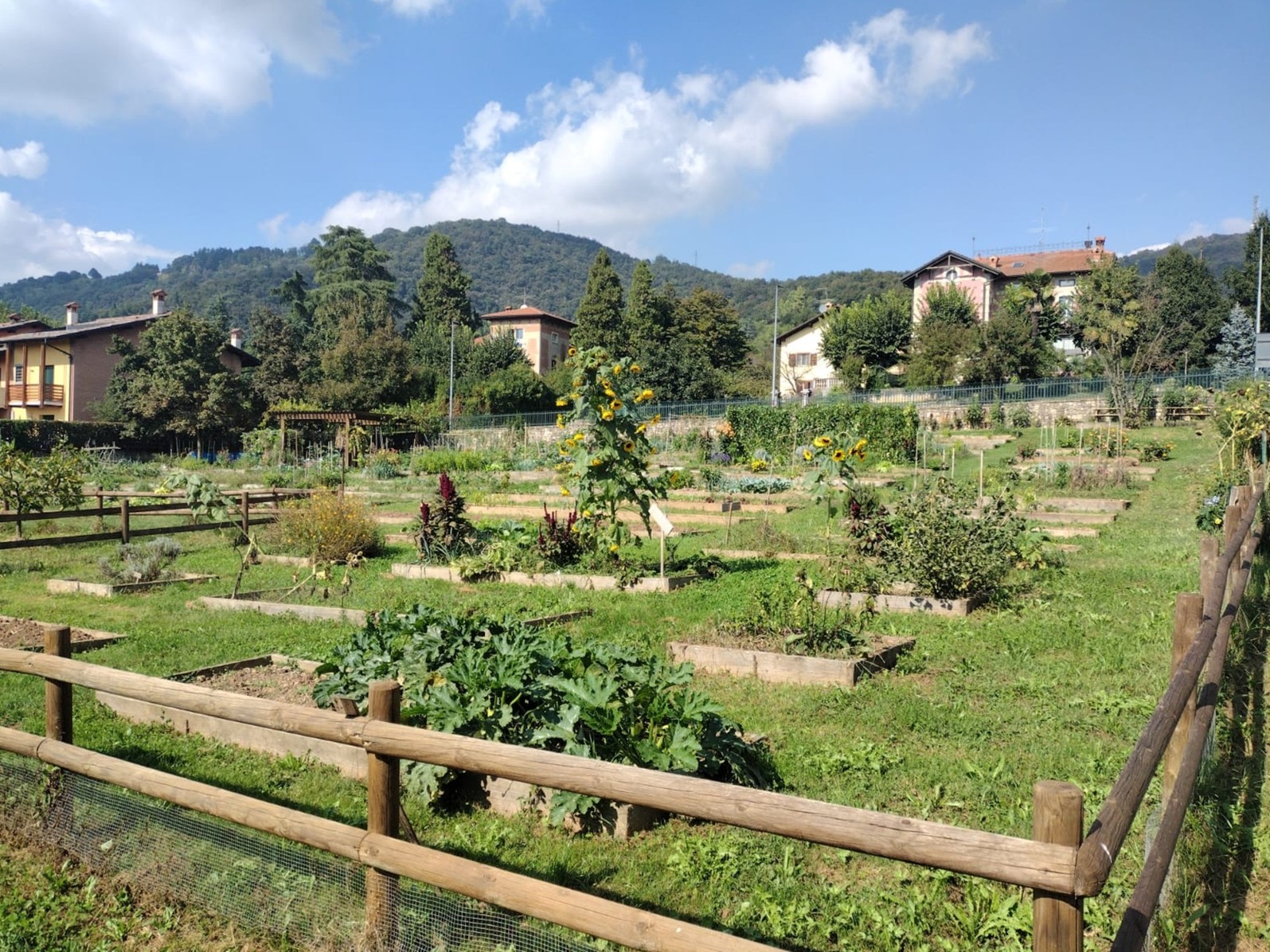 Gli orti nel Parco del Quintino