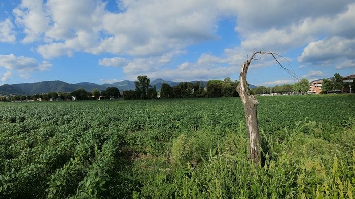 Triangolone di Gorle, altri due «no» al progetto dell’agrivoltaico Triangolone di Gorle, altri due «no» al progetto dell’agrivoltaico