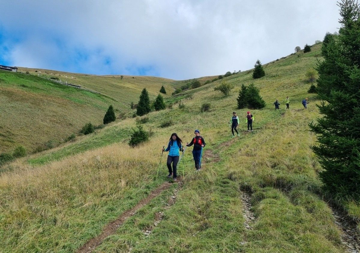 Scendendo dalla malga Palmarusso (sent. 227)