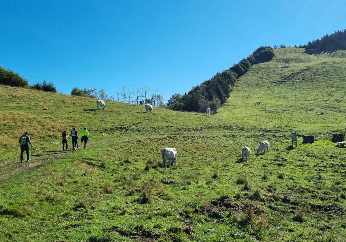 I pascoli di monte Agolo