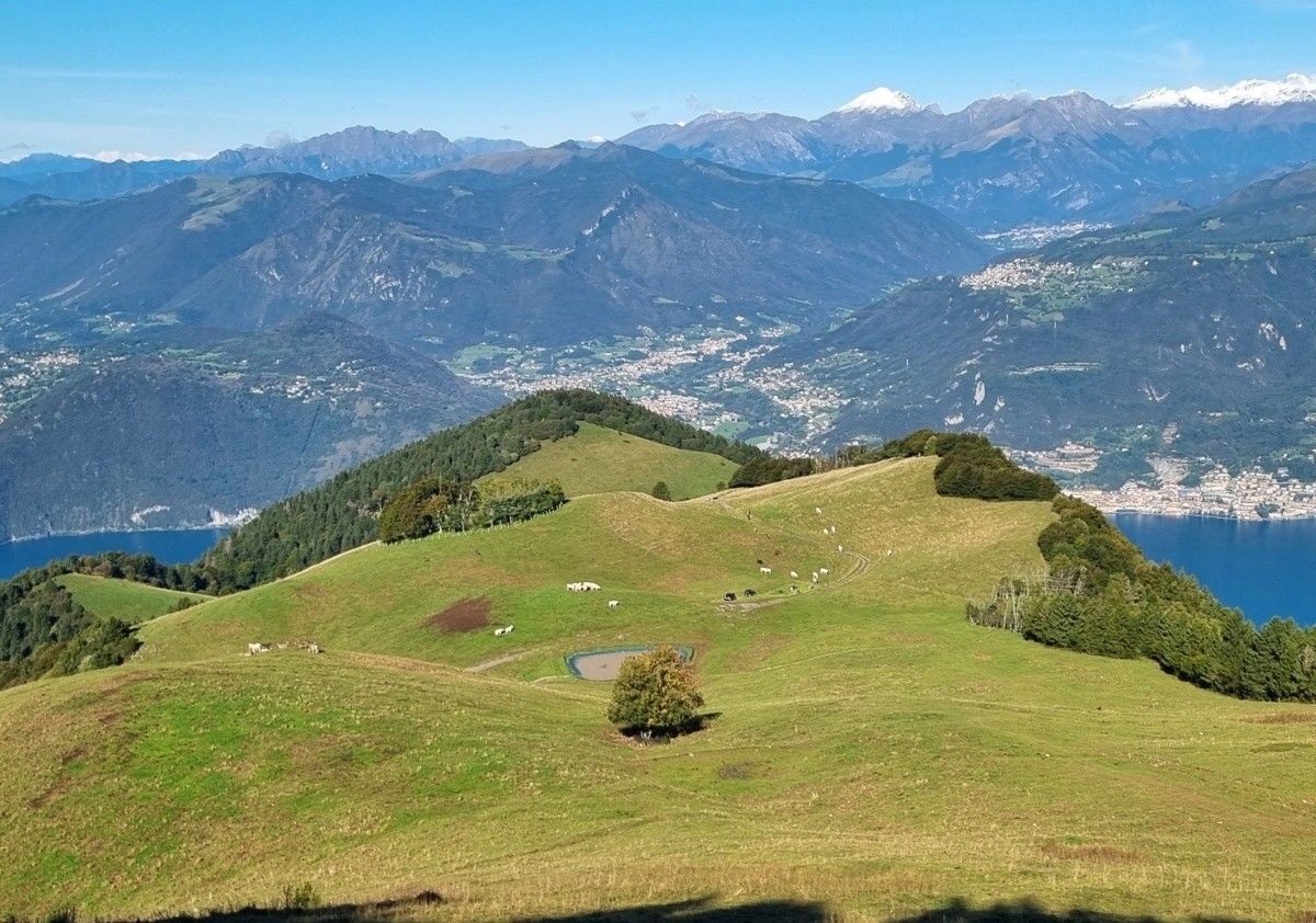 Prospettiva sui pascoli del monte Agolo