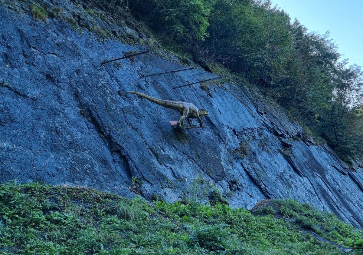 La roccia con le orme fossili del Triassico