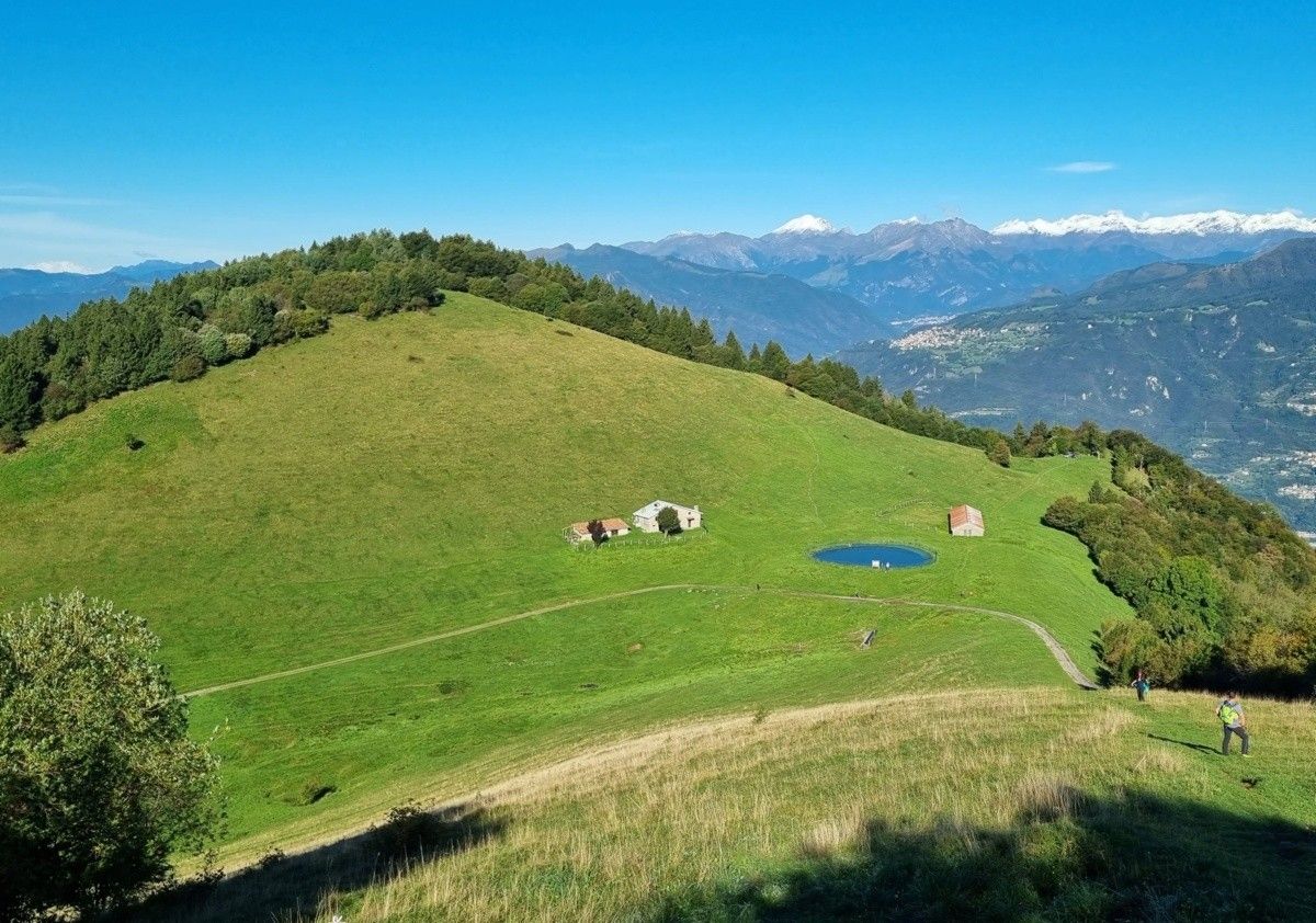 I pascoli di malga Aguina