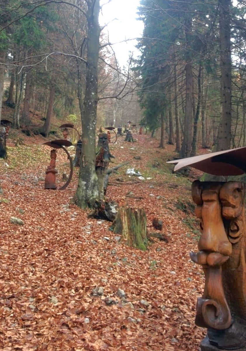 Il bosco degli gnomi
