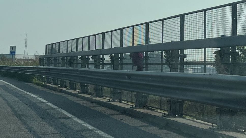 Il tratto di provinciale 91 bis con il guardrail pieno di fiori