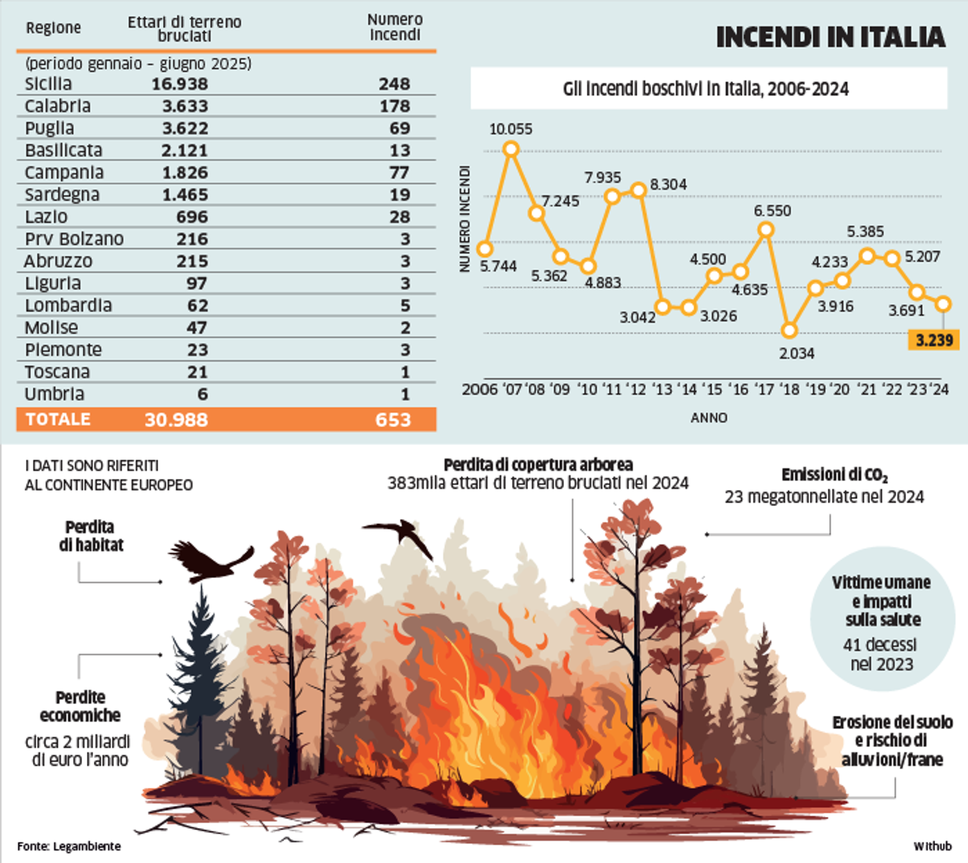 grafico incendi