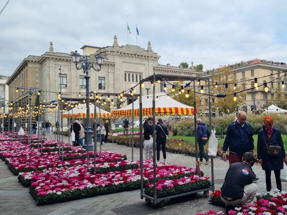 L’amatissimo angolo dei fiori