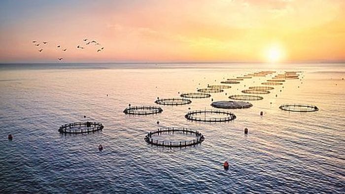https://storage.ecodibergamo.it/media/photologue/2025/10/16/photos/cache/le-attivita-umane-che-dipendono-da-mari-e-oceani-ci-coinvolgono_1d08faf6-a9de-11f0-b221-31e719b4b64b_1920_1080_v3_large_16_9.jpg
