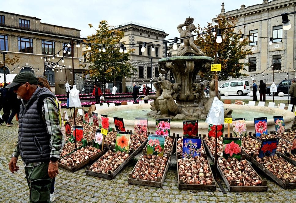 Il mercato di fiori in piazza Dante