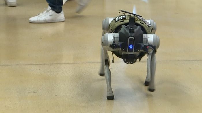 Spike, il cane robot che affianca la Polizia locale nella sicurezza urbana Spike, il cane robot che affianca la Polizia locale nella sicurezza urbana