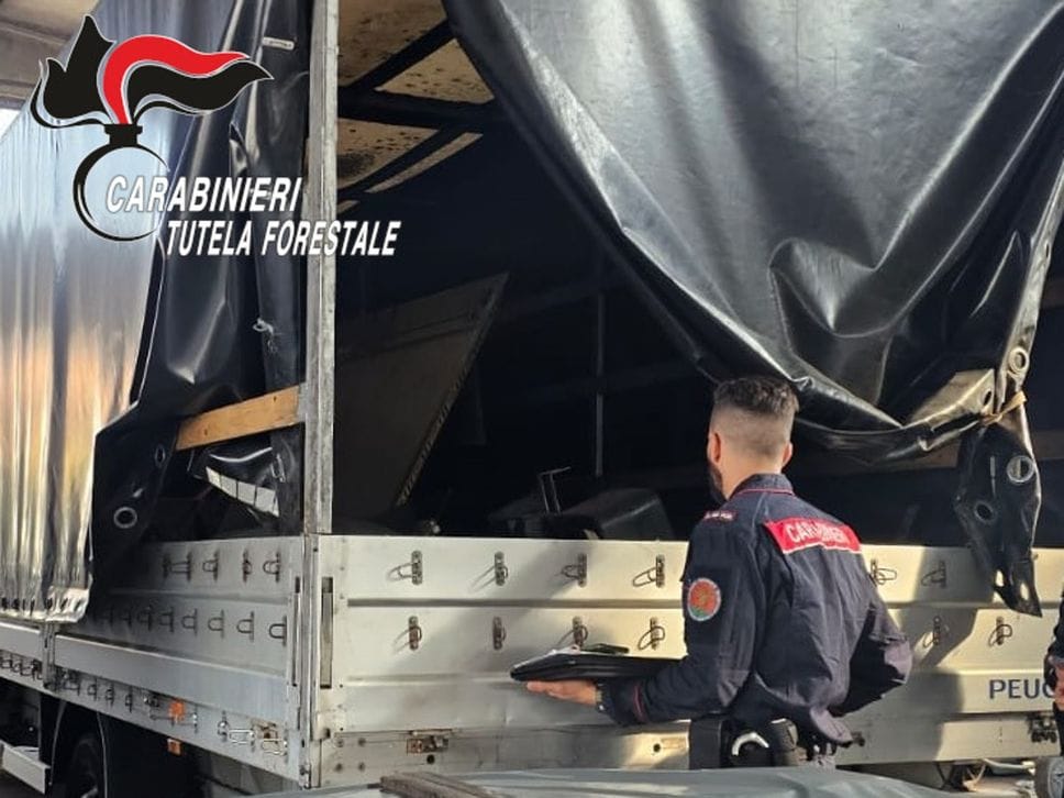 L’operazione dei carabinieri forestali