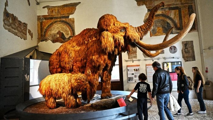 Una fiaba in podcast con gli «ospiti» del museo «Caffi» Una fiaba in podcast con gli «ospiti» del museo «Caffi»