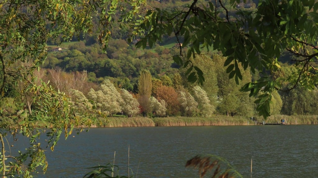 Tavolozza autunnale