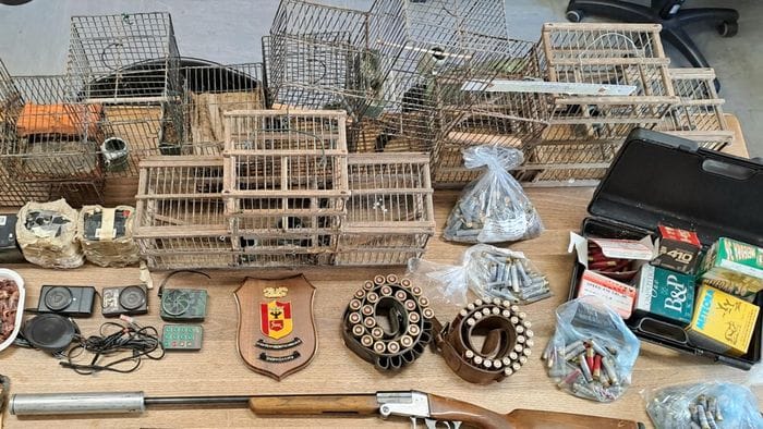 Uccelli catturati con reti e richiami elettronici: scoperti due bracconieri a Palosco e Foresto Uccelli catturati con reti e richiami elettronici: scoperti due bracconieri a Palosco e Foresto