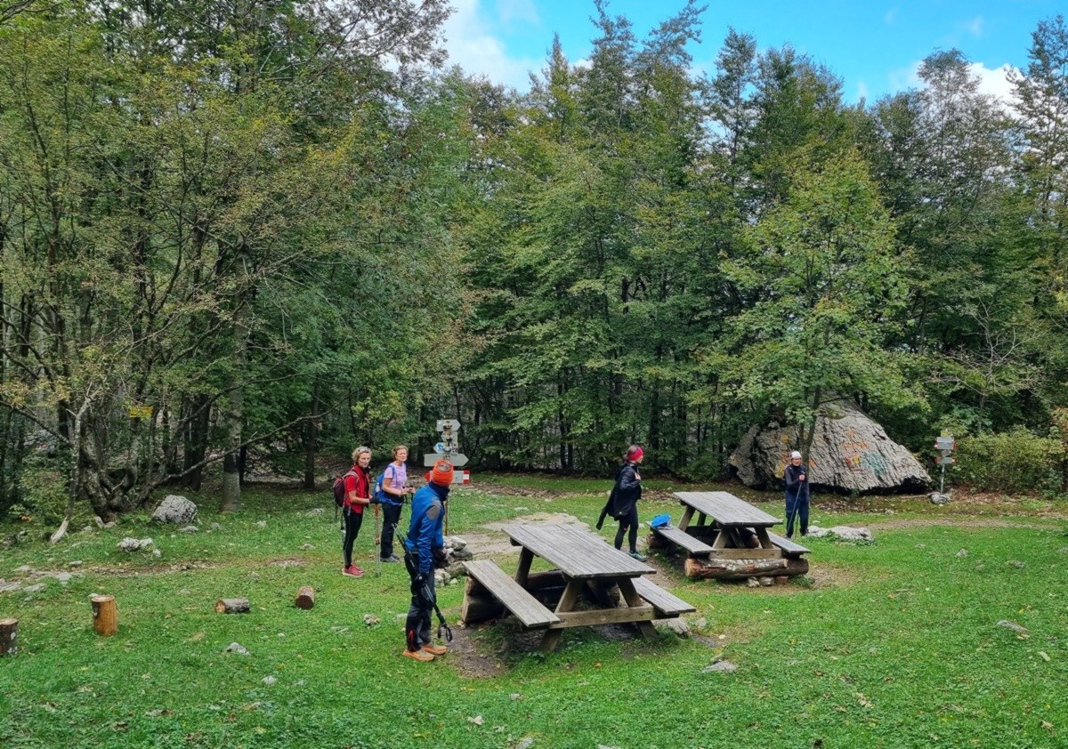Area pic-nic alle Forbesette