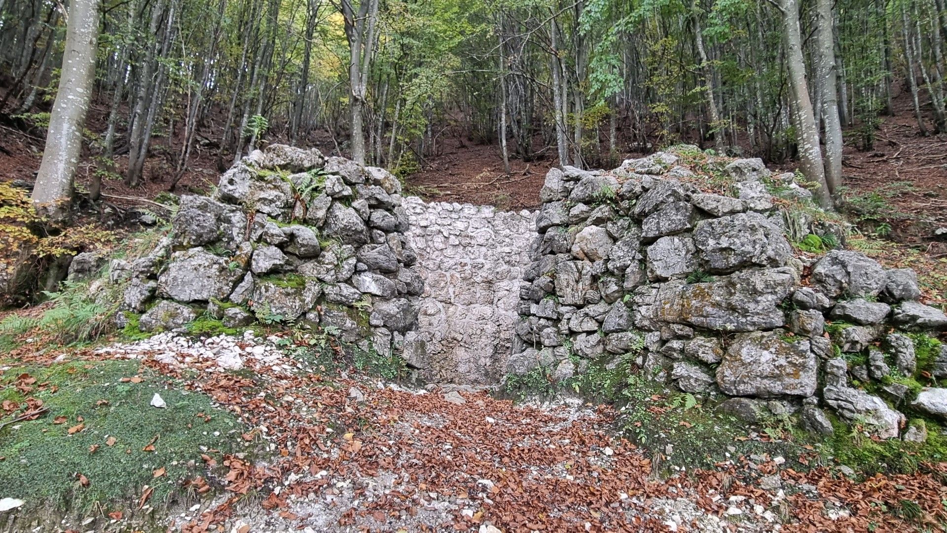 La calchera delle Forbesette La calchera delle Forbesette