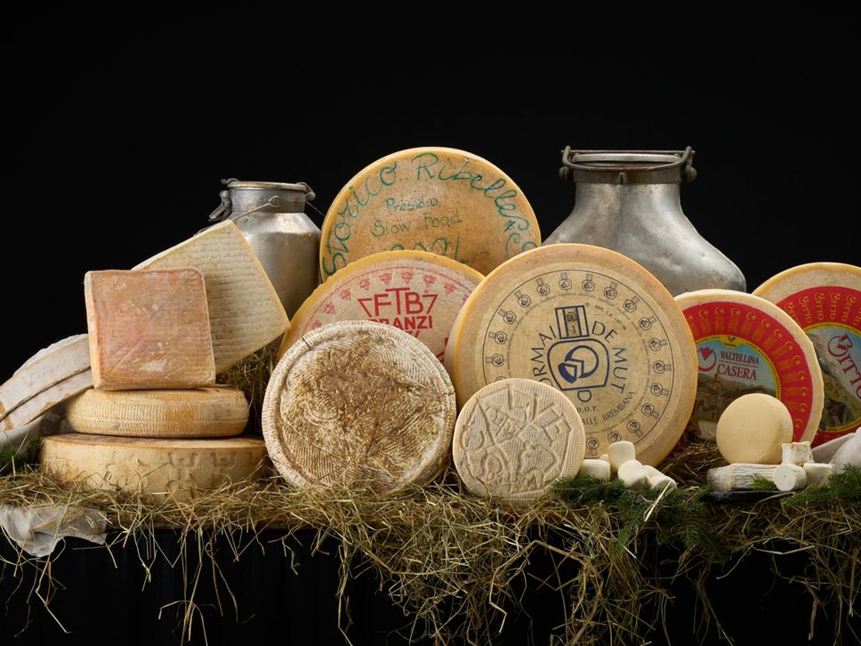 I formaggi bergamaschi a Forme