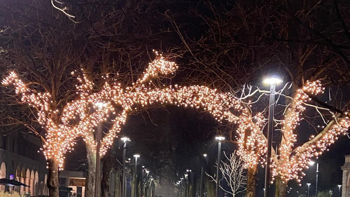 Luminarie, nuovi effetti ottici. A Bergamo torna la ruota panoramica per Natale Luminarie, nuovi effetti ottici. A Bergamo torna la ruota panoramica per Natale
