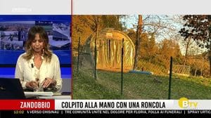 BERGAMO TG ORE12