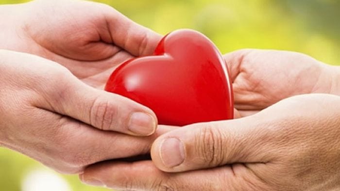 l8217ultimo atto d8217amore di hajar la piccola di telgate ha donato gli organi da Ecodibergamo.it l8217ultimo atto d8217amore di hajar la piccola di telgate ha donato gli organi