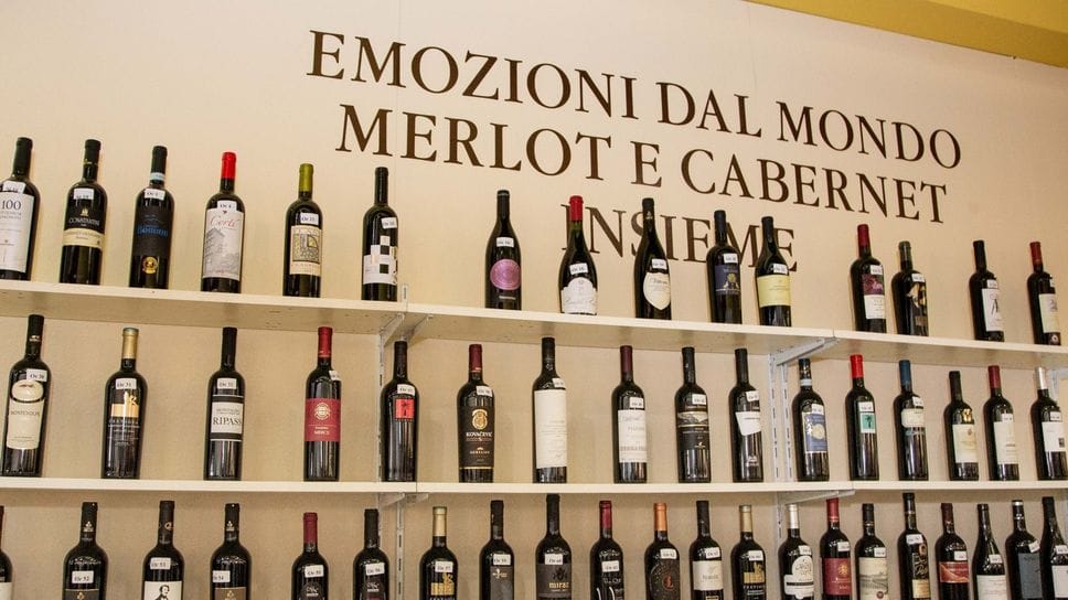 il Concorso «Emozioni dal Mondo» è nato a Bergamo nel 2005